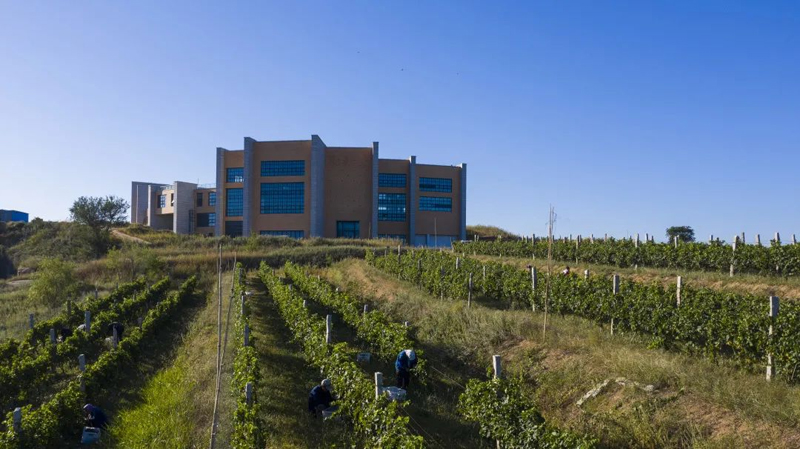 圖片1.jpg 圖片1.jpg